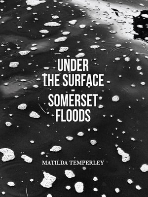 cover image of Under the Surface